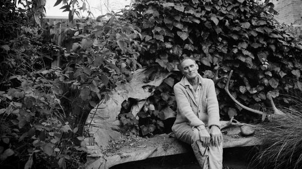 methode-sundaytimes-prod-web-bin-934e1930-b7d5-11e6-8e75-e0dd5ec17459