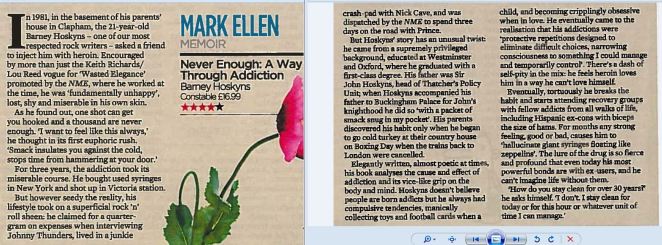 MoS Barney Hoskyns review 22nd Jan.JPG